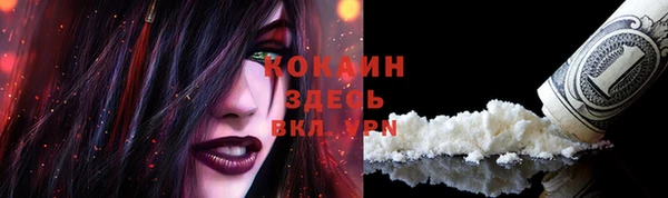 spice Беломорск