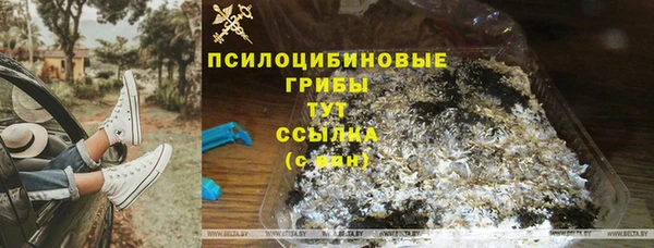 spice Беломорск