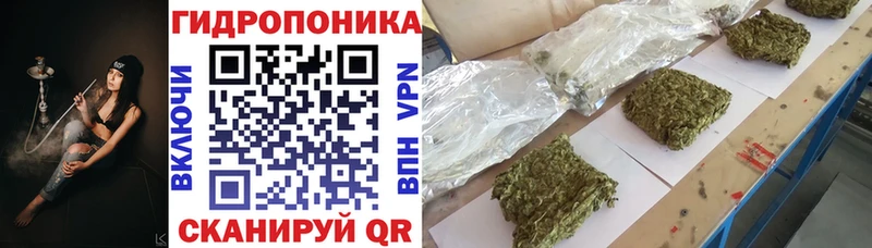Конопля планчик  Купить  Судак 